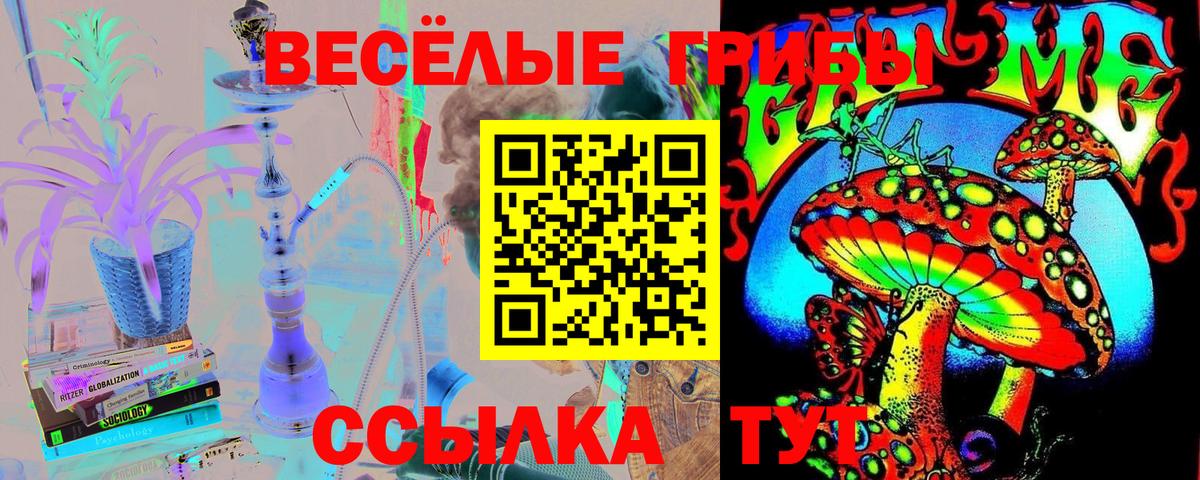 Галлюциногенные грибы Cubensis  Галлюциногенные грибы прущие грибы  Вход с VPN  наркота  Бийск 